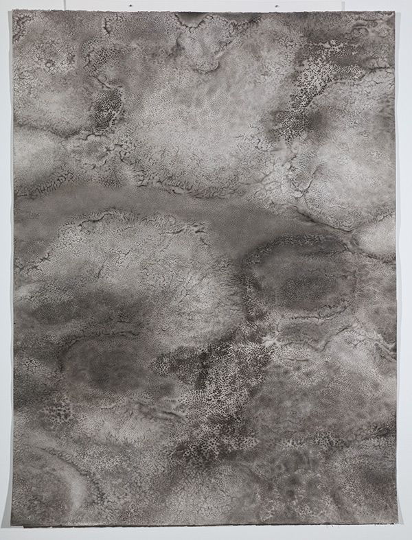 Mold Space (Katrina Up Close)