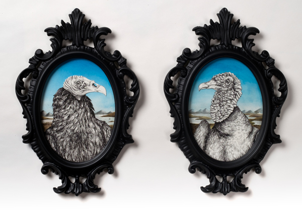 The Scavenger I (Turkey Vulture) and II (Black Vulture)