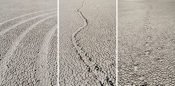 Desert Trinity (tire marks, moving rock trail, footprints)