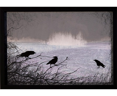 Ravens with Brambies (Dusk Series)