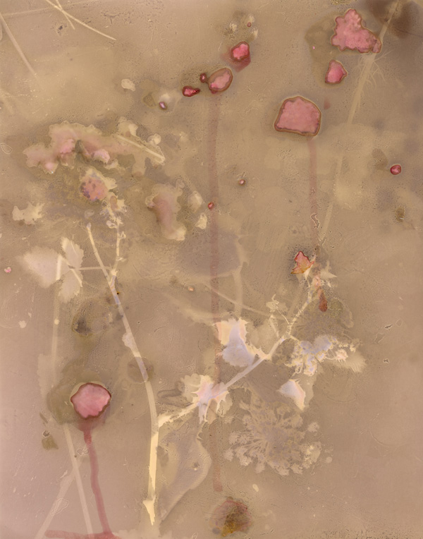 Orchard Breath, (Rubus 1) from »Her Name is Vincent»/