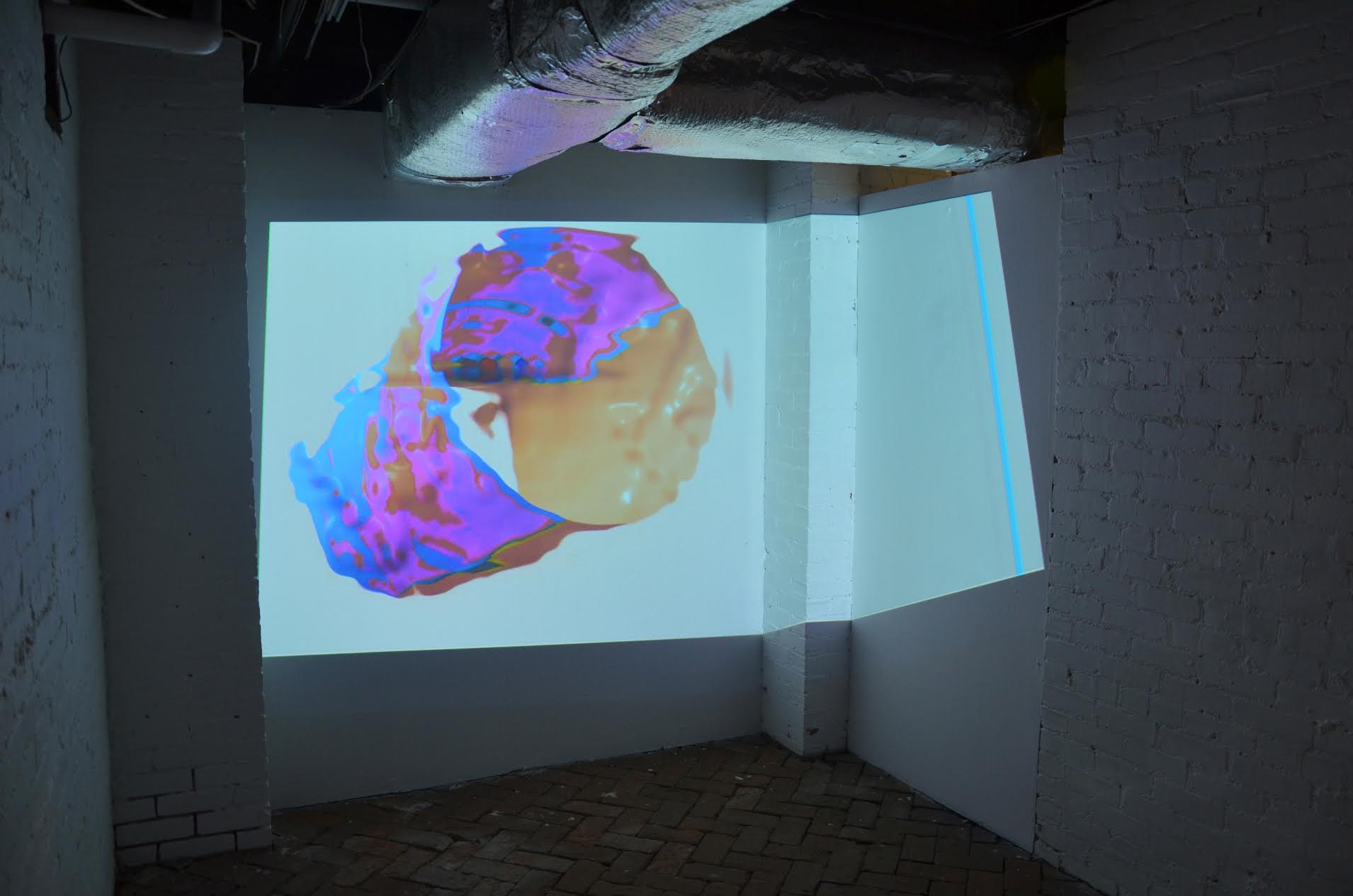 Bojana Ginn: Virtual T transplant, video projection in whitespec at whitespace gallery.