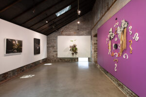 Installation view of group exhibition "Is it not enough that I smile in the valleys?"