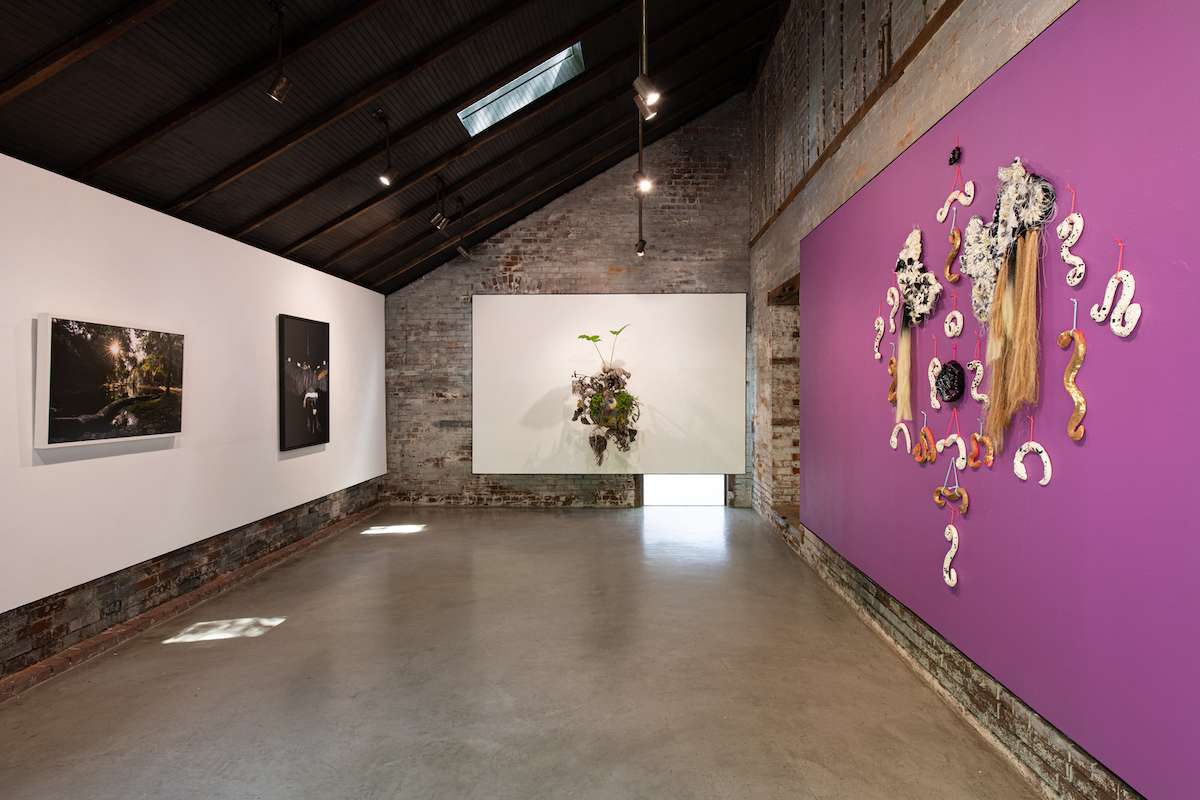 Installation view of "Is it not enough that I smile in the valleys?"