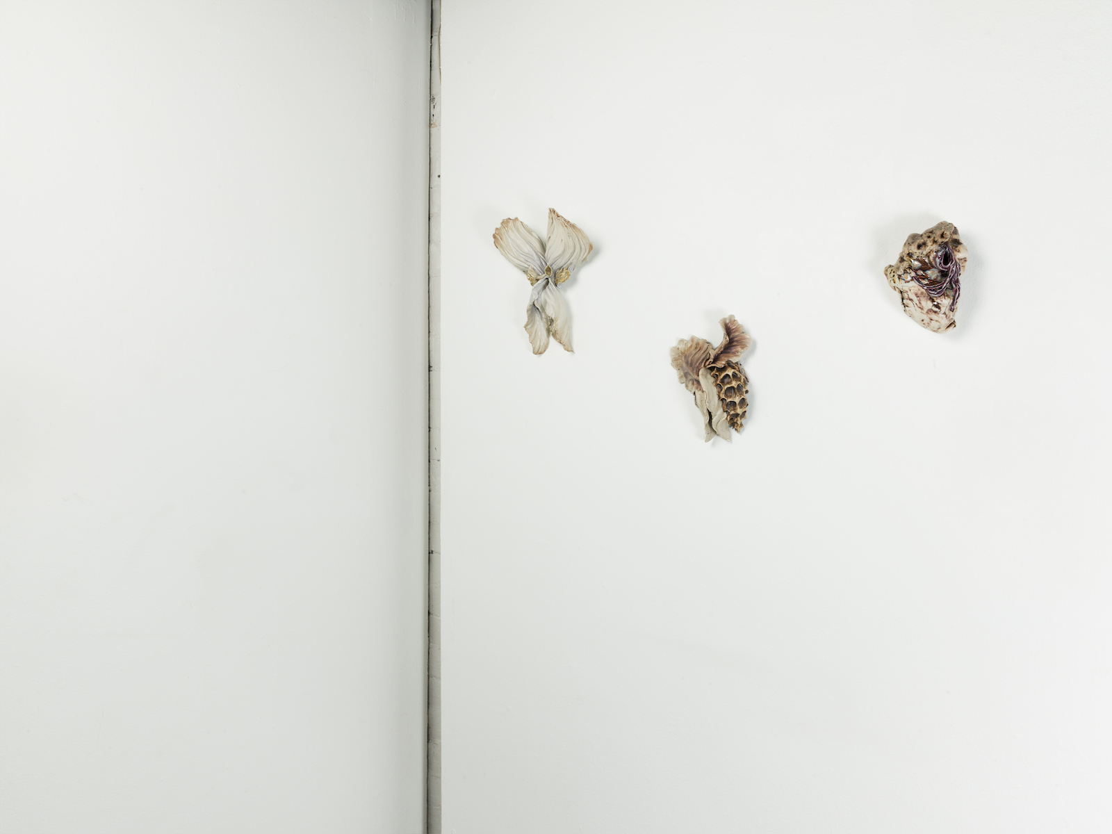 Installation view of Michelle Laxalt, "the split of our being" in whitespec at whitespace gallery in Atlanta.